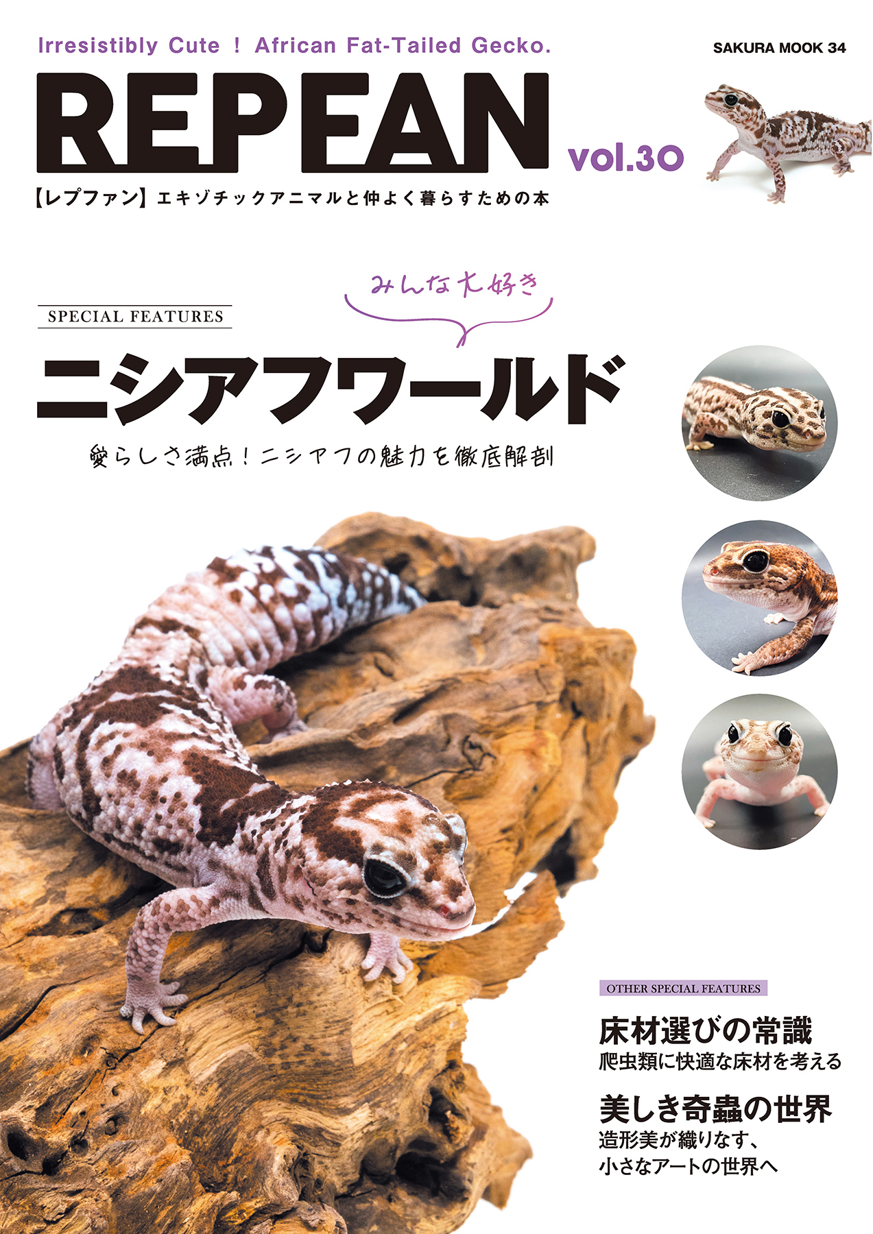 REPFAN vol.30