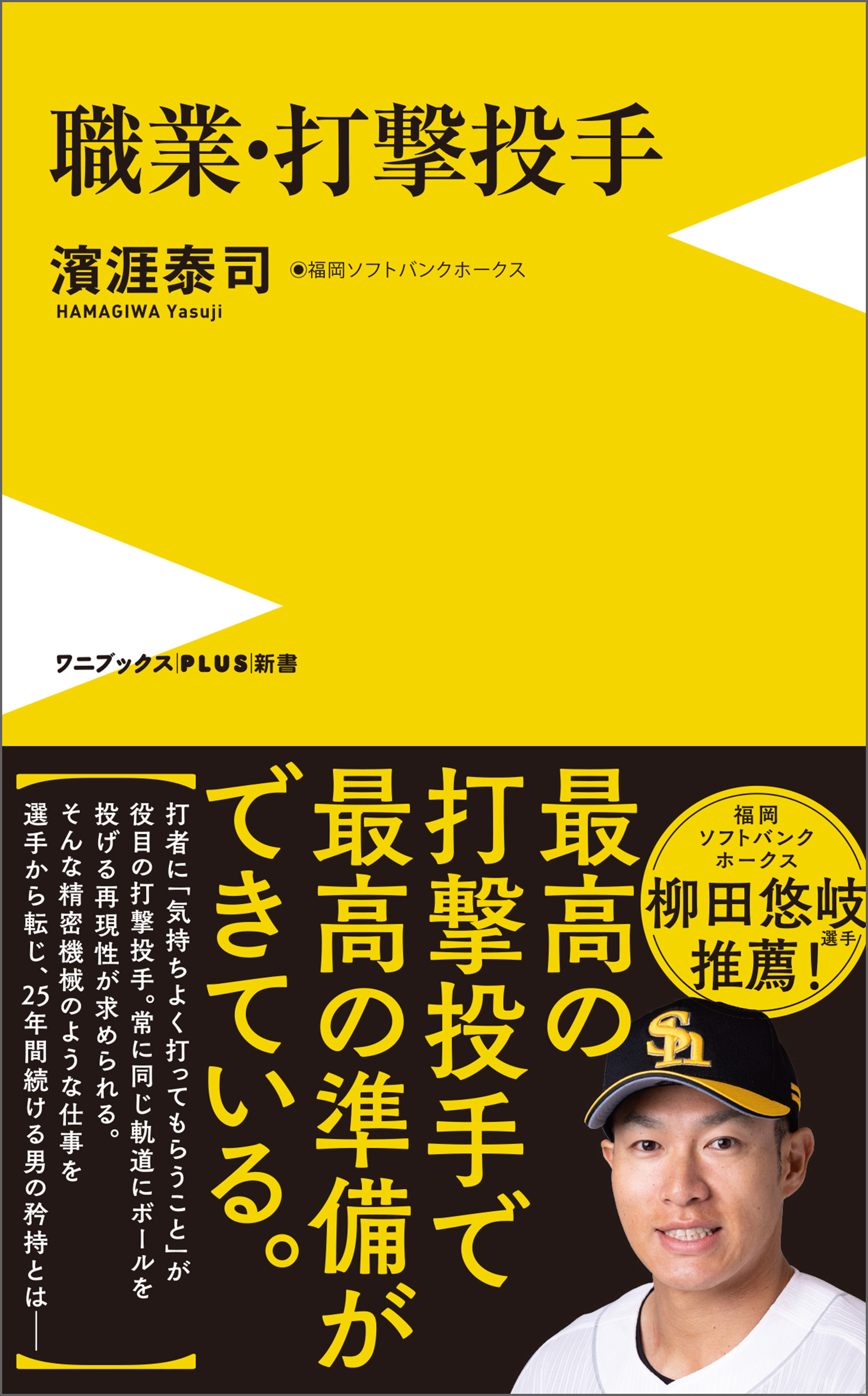 職業・打撃投手