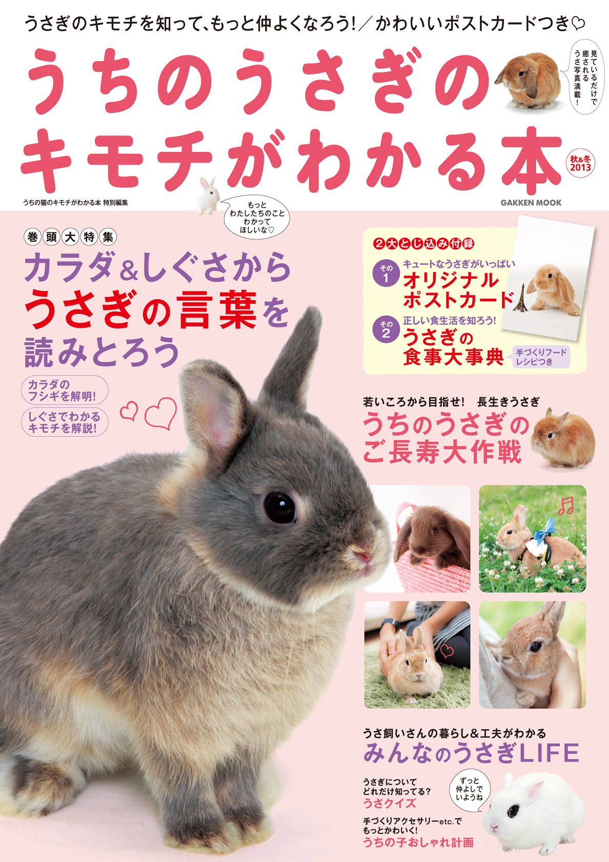 うちのうさぎのキモチがわかる本　秋＆冬２０１３