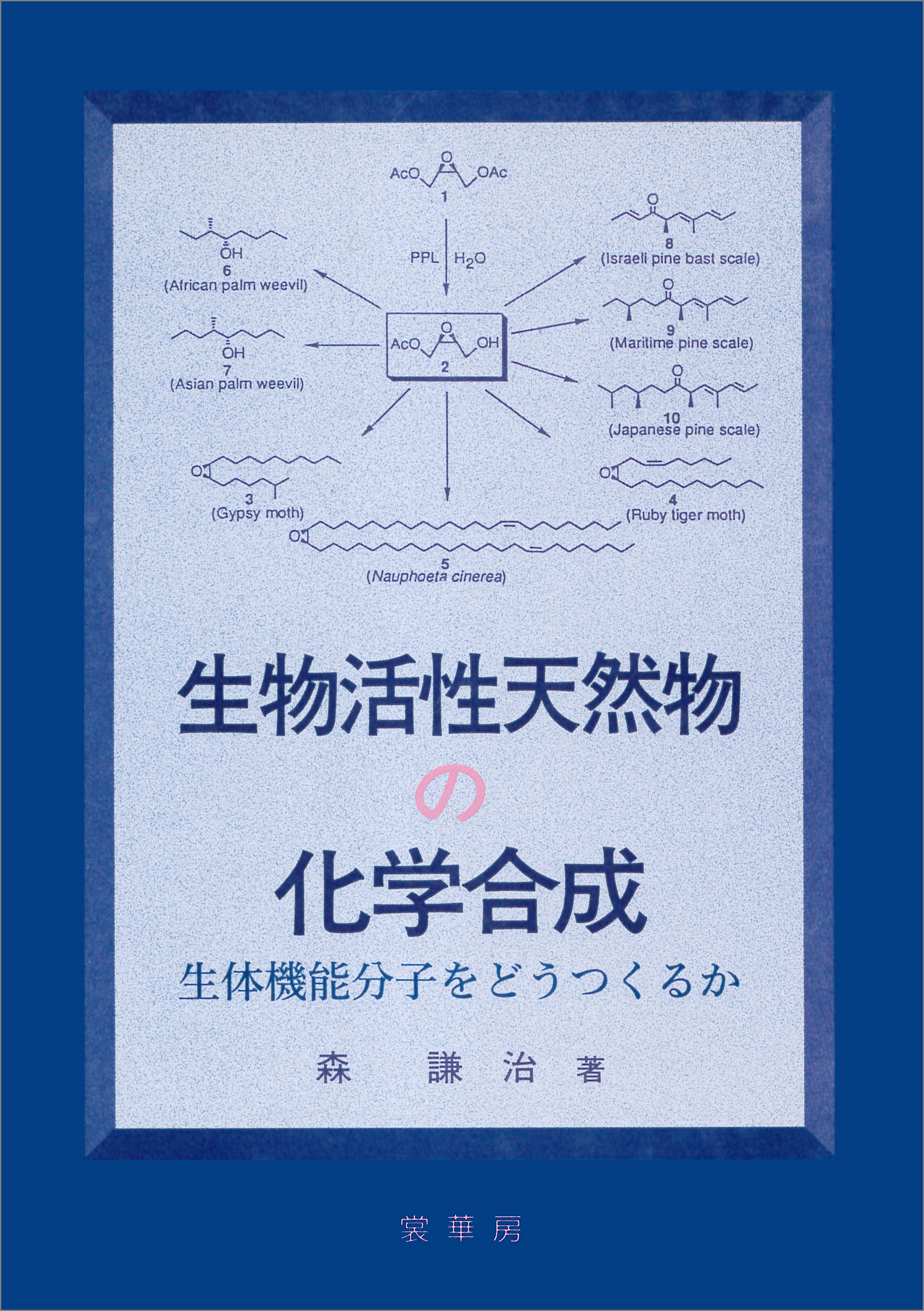 生物活性天然物の化学合成
