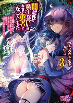 闇属性の魔法使いだが、なぜか勇者になってしまった 3 ~それはともかく嫁にいい暮らしをさせるために頑張って成り上がろうと思う~
