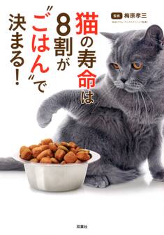 猫の寿命は8割が“ごはん”で決まる!