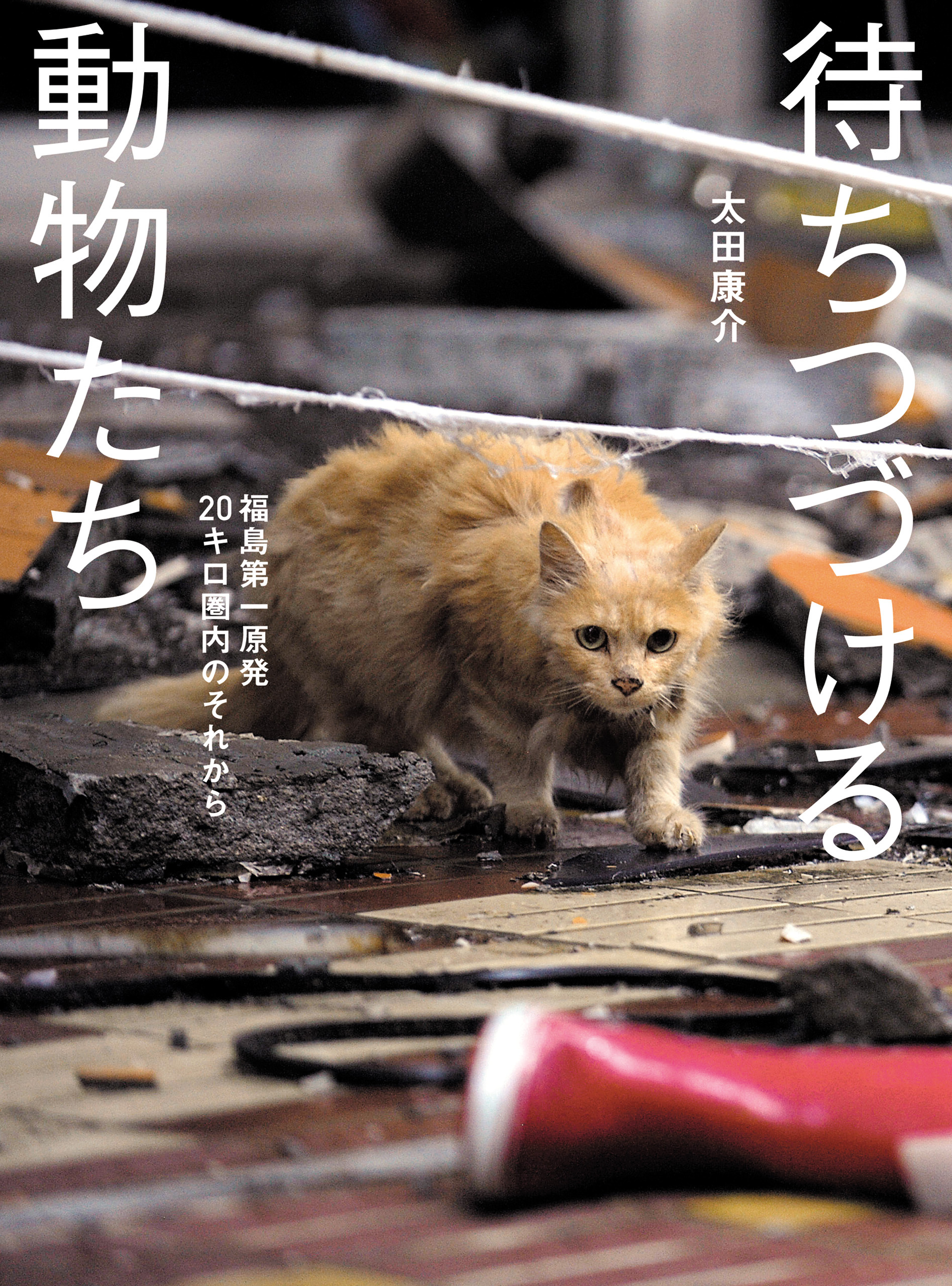 待ちつづける動物たち――福島第一原発20キロ圏内のそれから