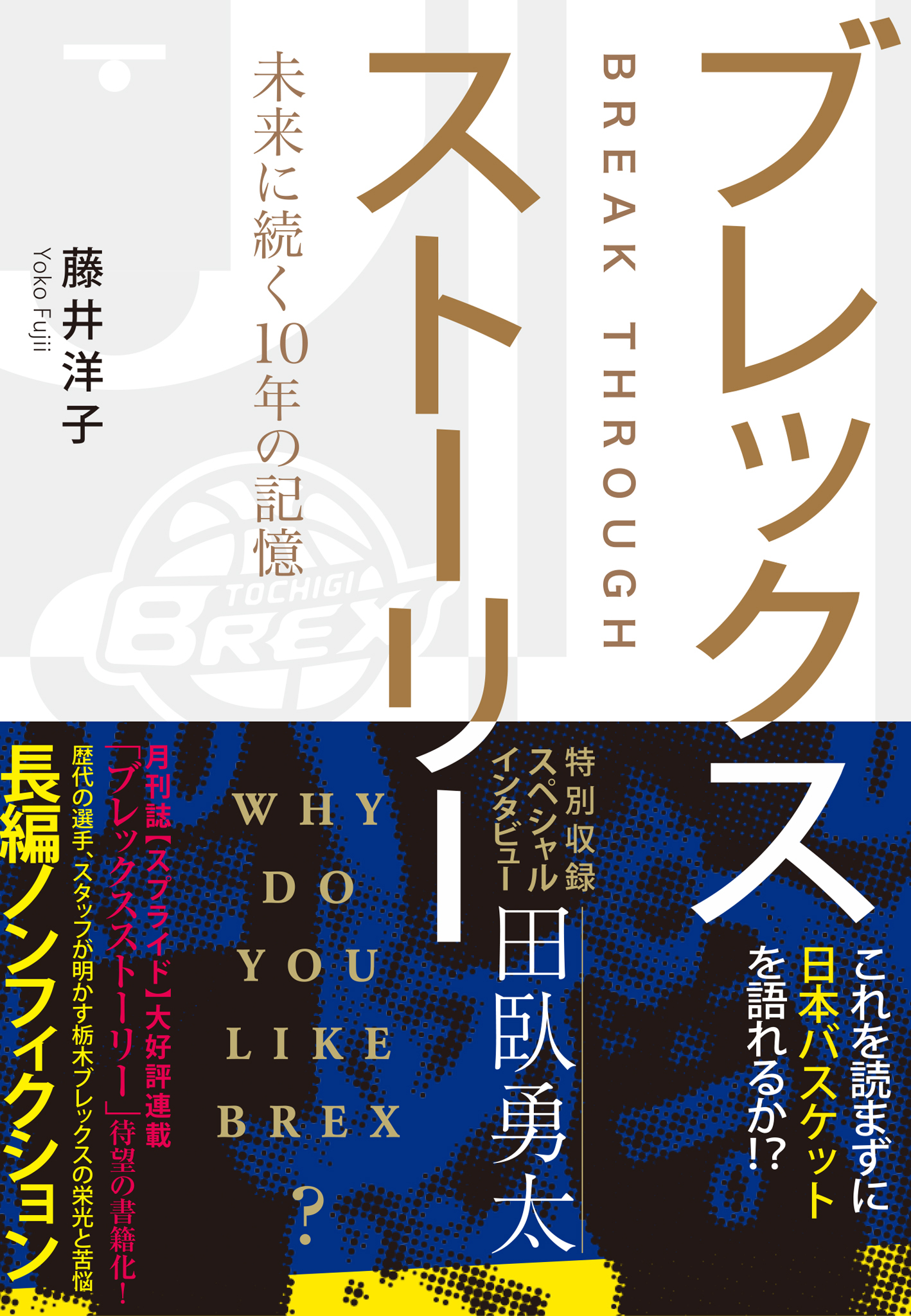 ブレックスストーリー　未来に続く10年の記憶