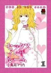 セックス・イン・ザ・ルーム　1