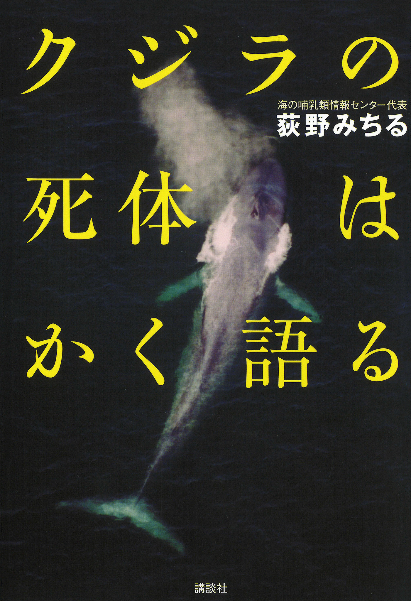 クジラの死体はかく語る
