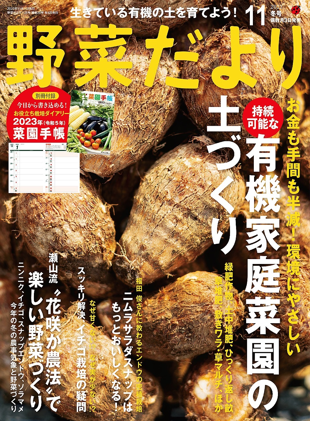 野菜だより2022年11月号