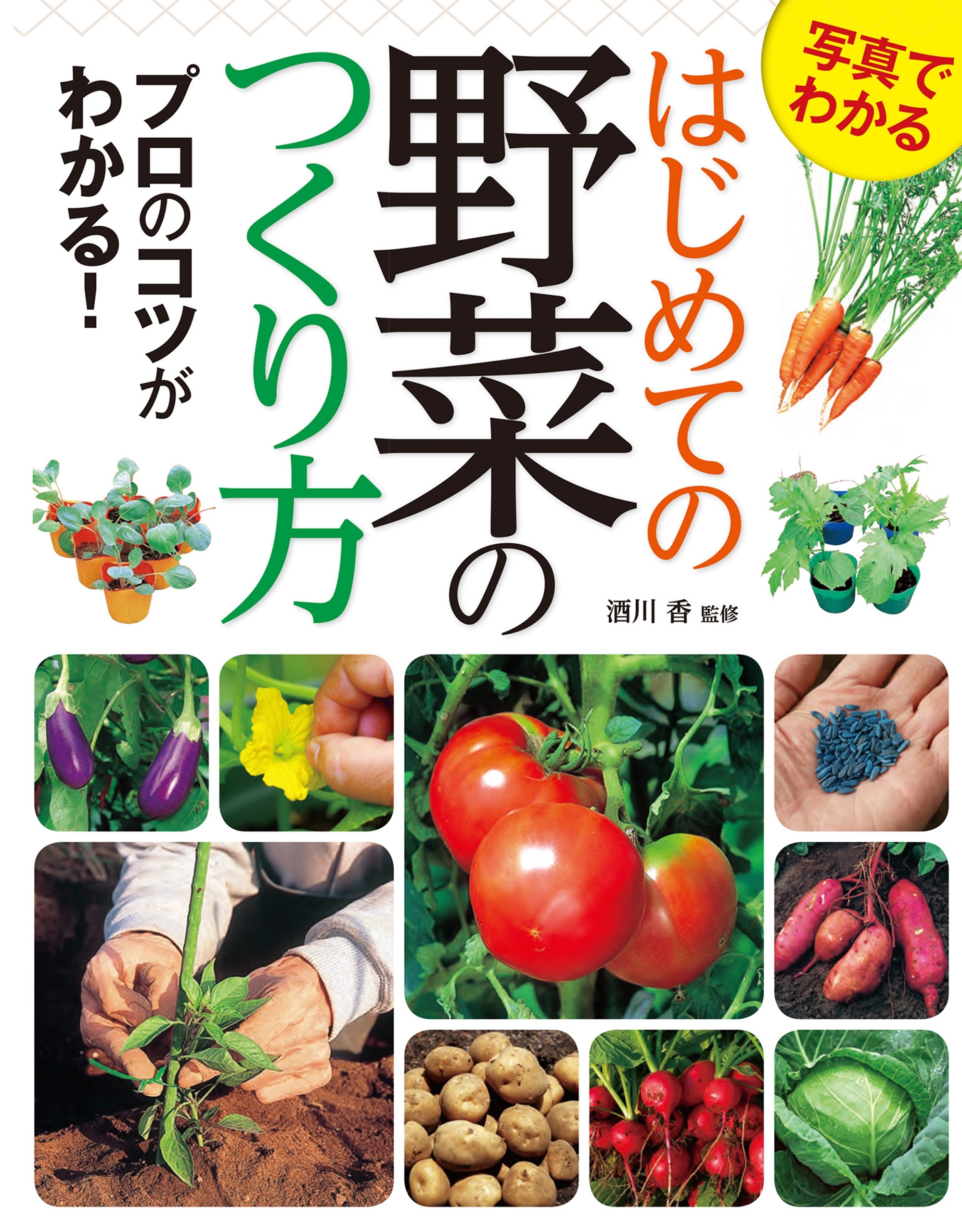 写真でわかる はじめての野菜のつくり方 プロのコツがわかる！
