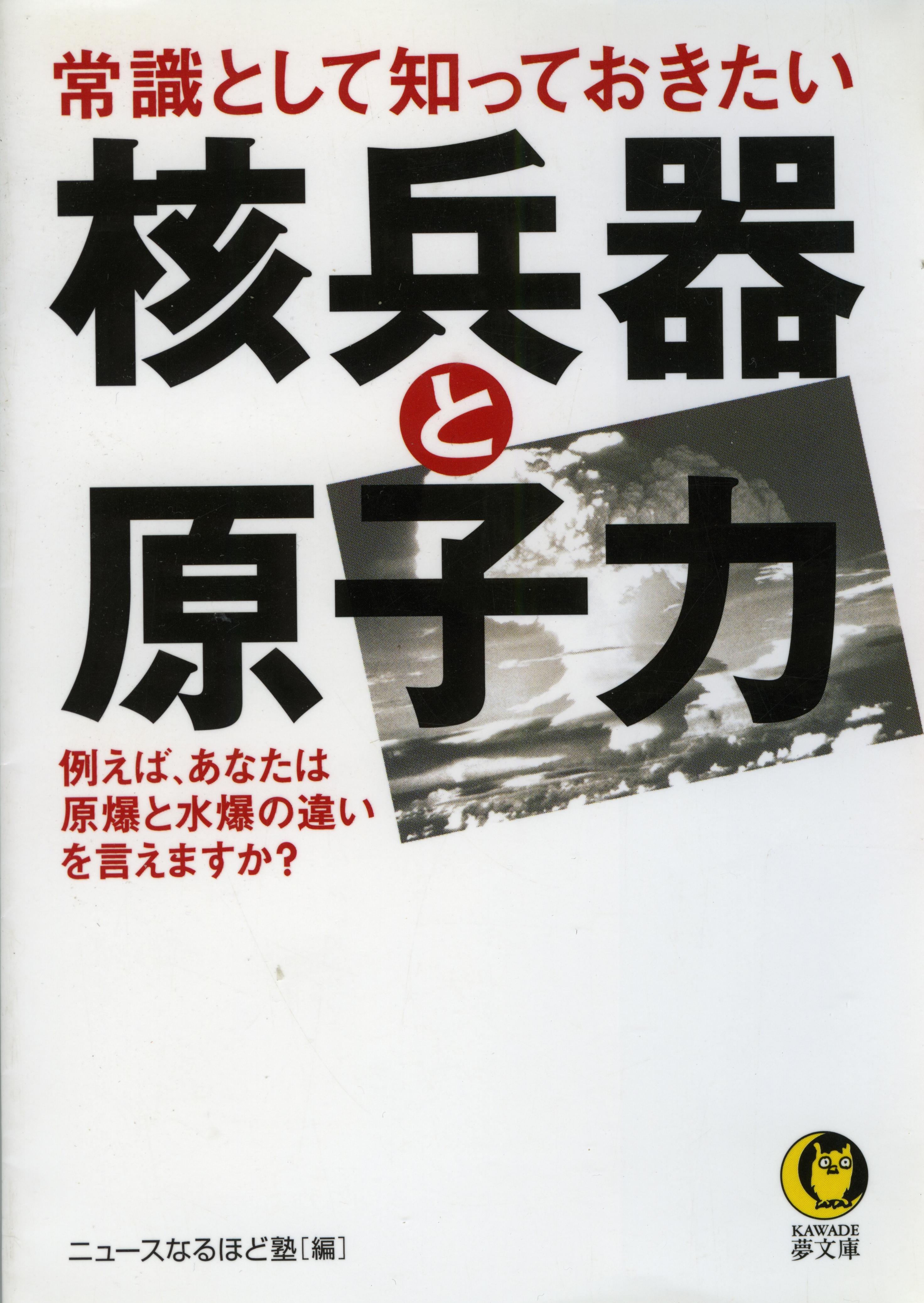 常識として知っておきたい　核兵器と原子力