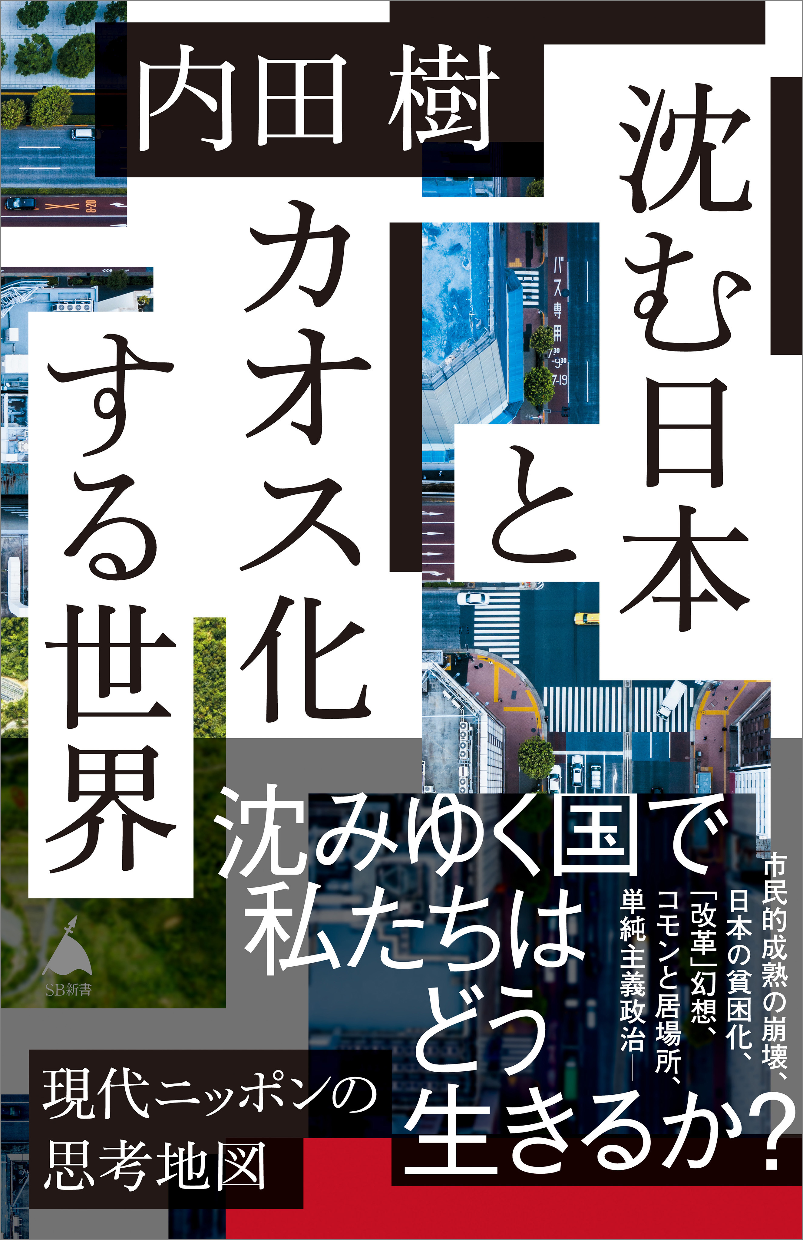沈む日本とカオス化する世界
