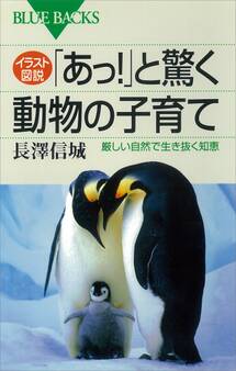 イラスト図説 「あっ!」と驚く動物の子育て 厳しい自然で生き抜く知恵