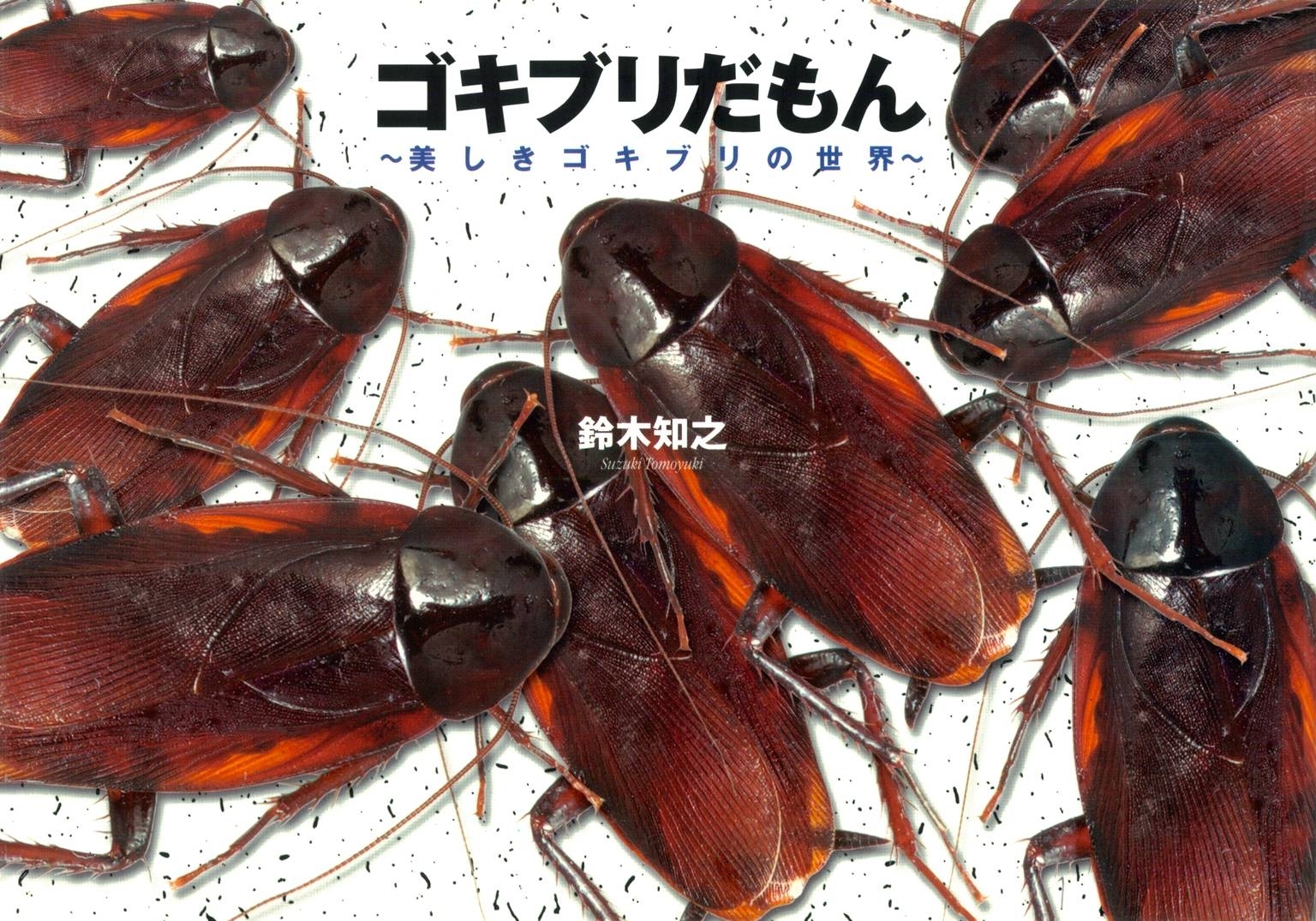 ゴキブリだもん