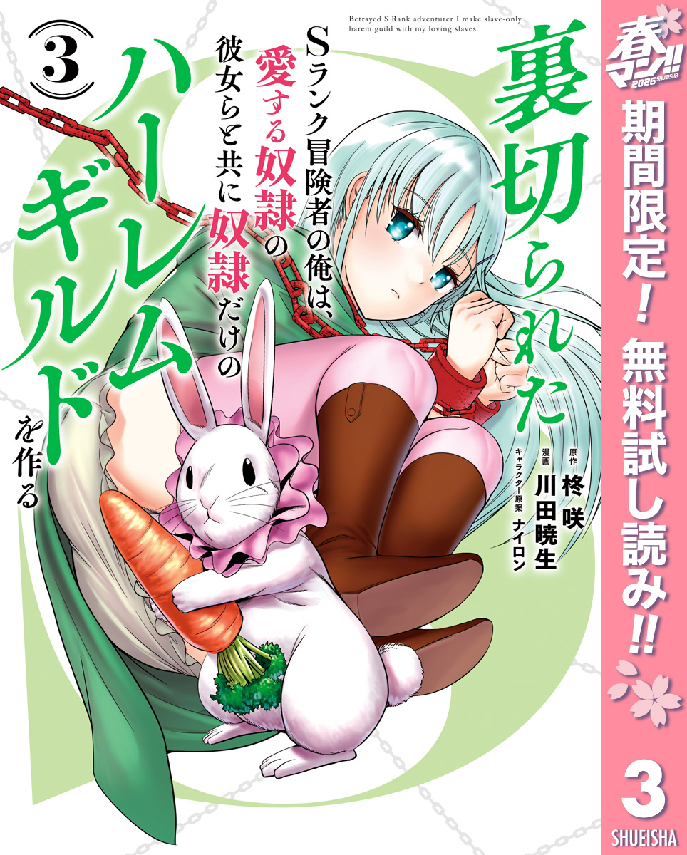 裏切られたSランク冒険者の俺は、愛する奴隷の彼女らと共に奴隷だけのハーレムギルドを作る【期間限定無料】 3