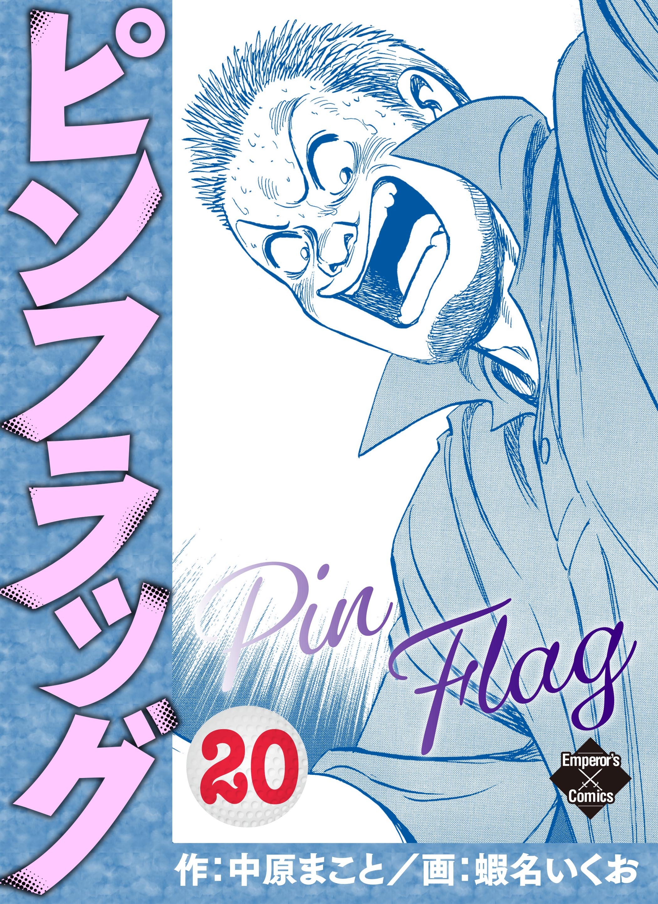 ピンフラッグ 20