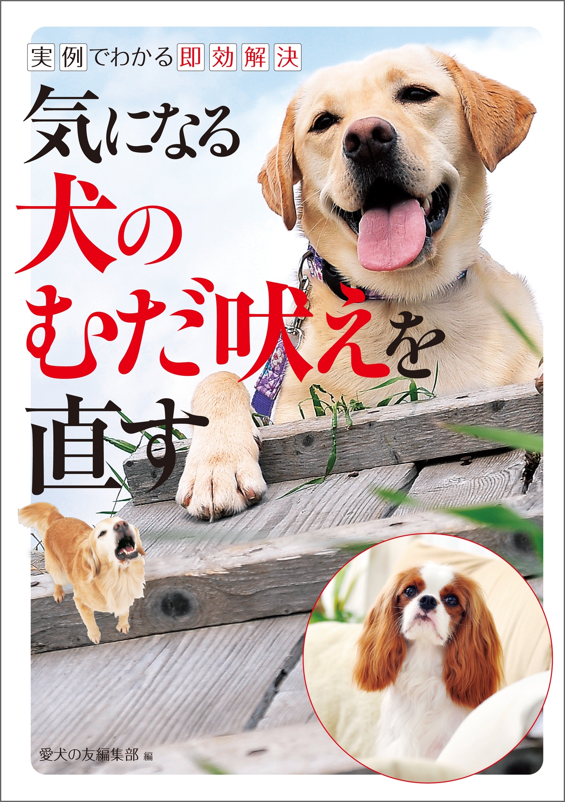 気になる犬のむだ吠えを直す