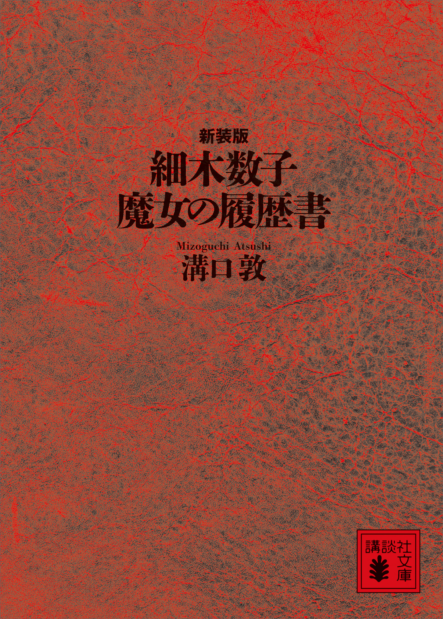 細木数子　魔女の履歴書　新装版