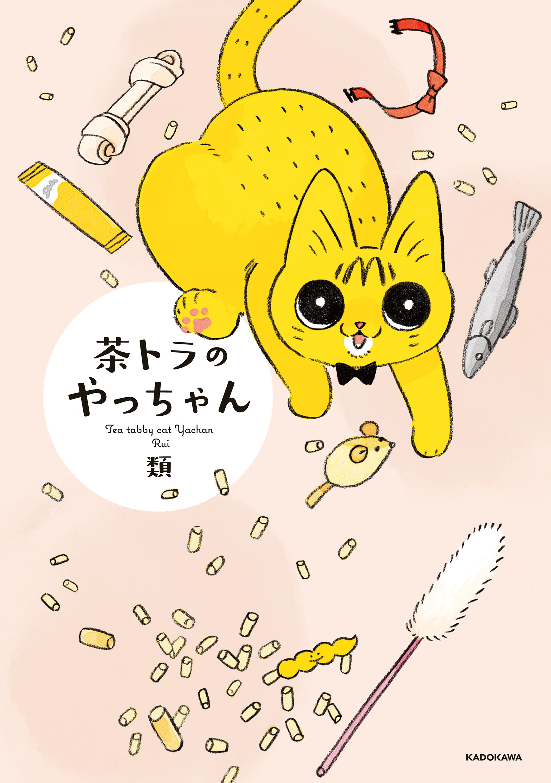 茶トラのやっちゃん