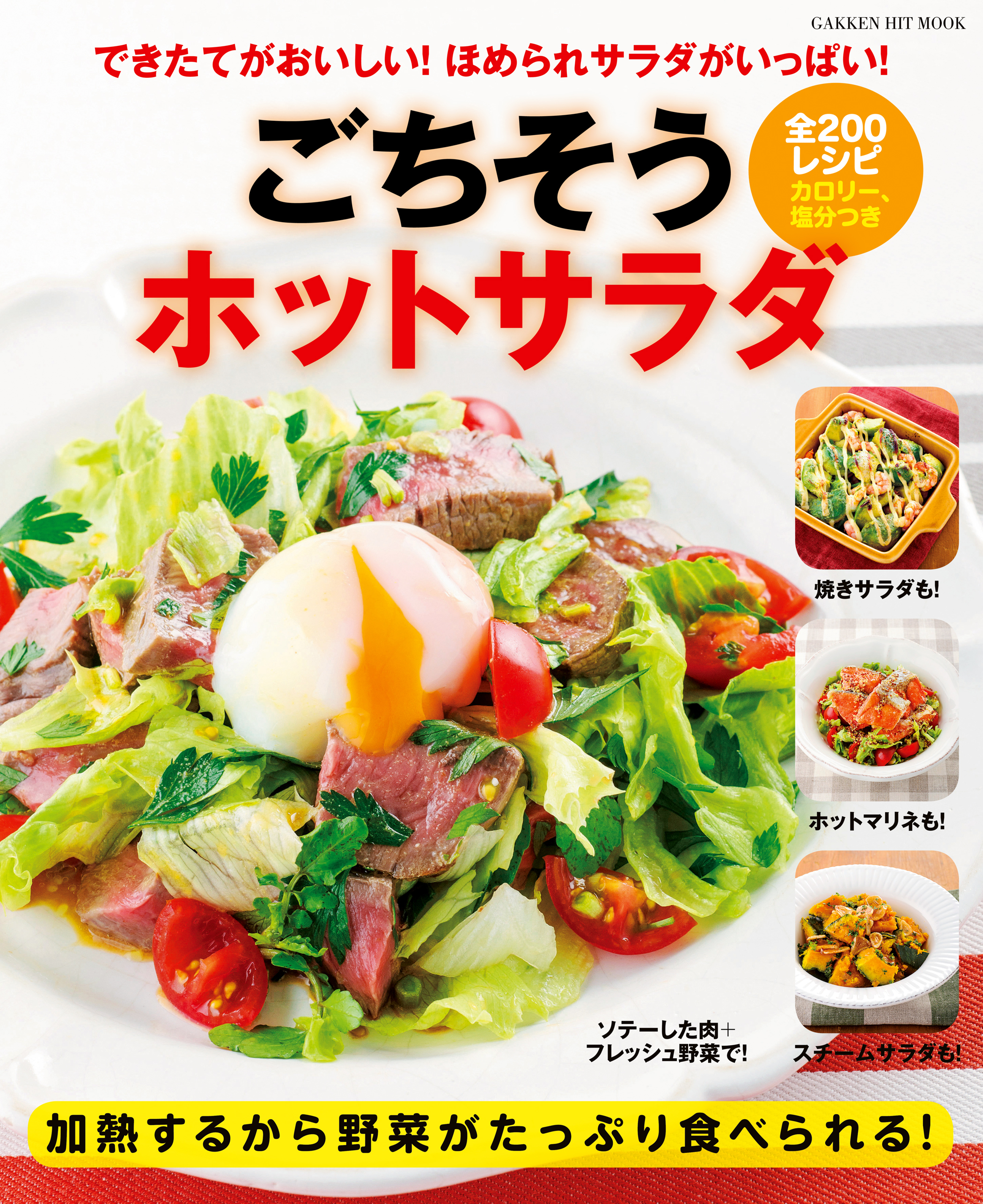 ごちそうホットサラダ