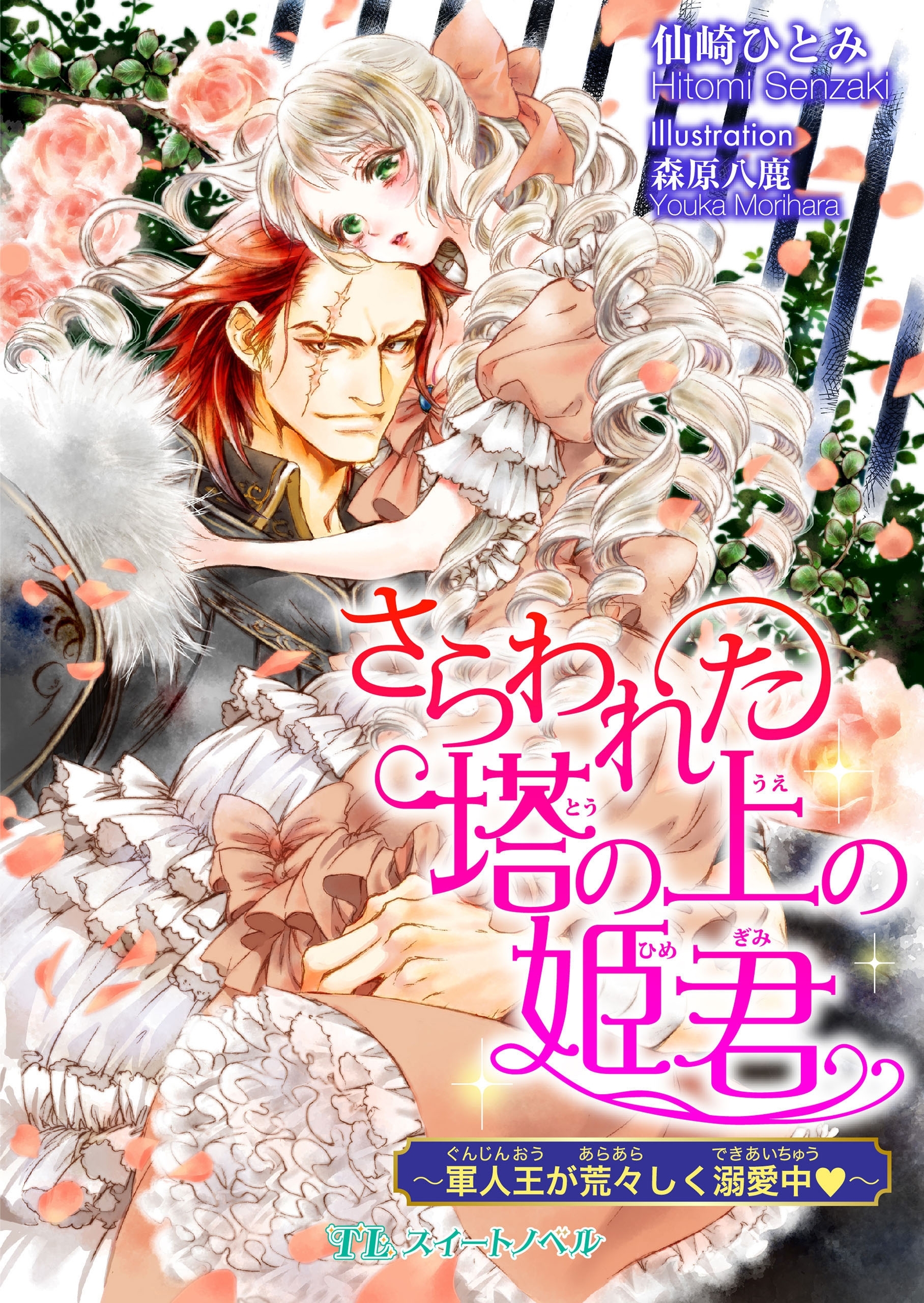 さらわれた塔の上の姫君