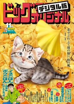 ビッグコミックオリジナル増刊