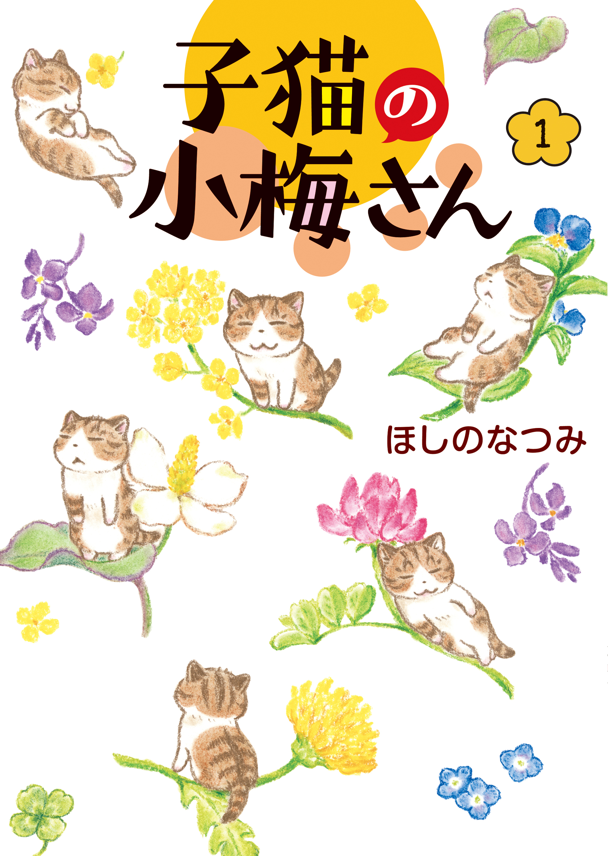 子猫の小梅さん（１）