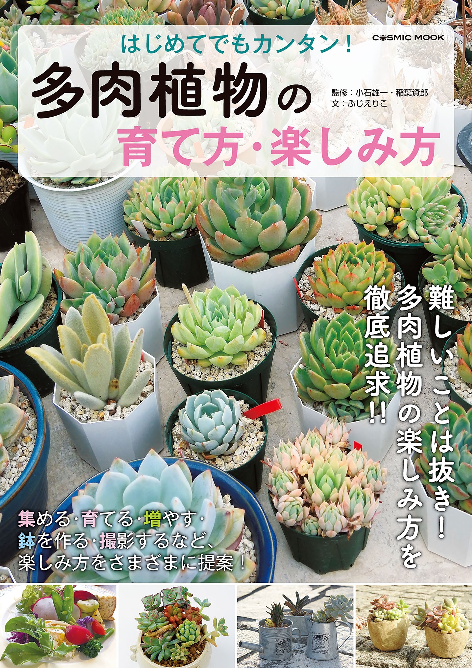 はじめてでもカンタン！ 多肉植物の育て方・楽しみ方