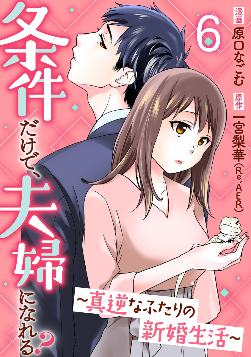 条件だけで、夫婦になれる？～真逆なふたりの新婚生活～