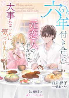 六年付き合った元恋人のおかげで大事なことに気づけました【分冊版】
