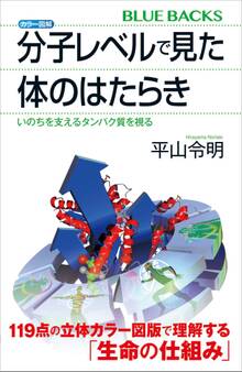 カラー図解 分子レベルで見た体のはたらき いのちを支えるタンパク質を視る