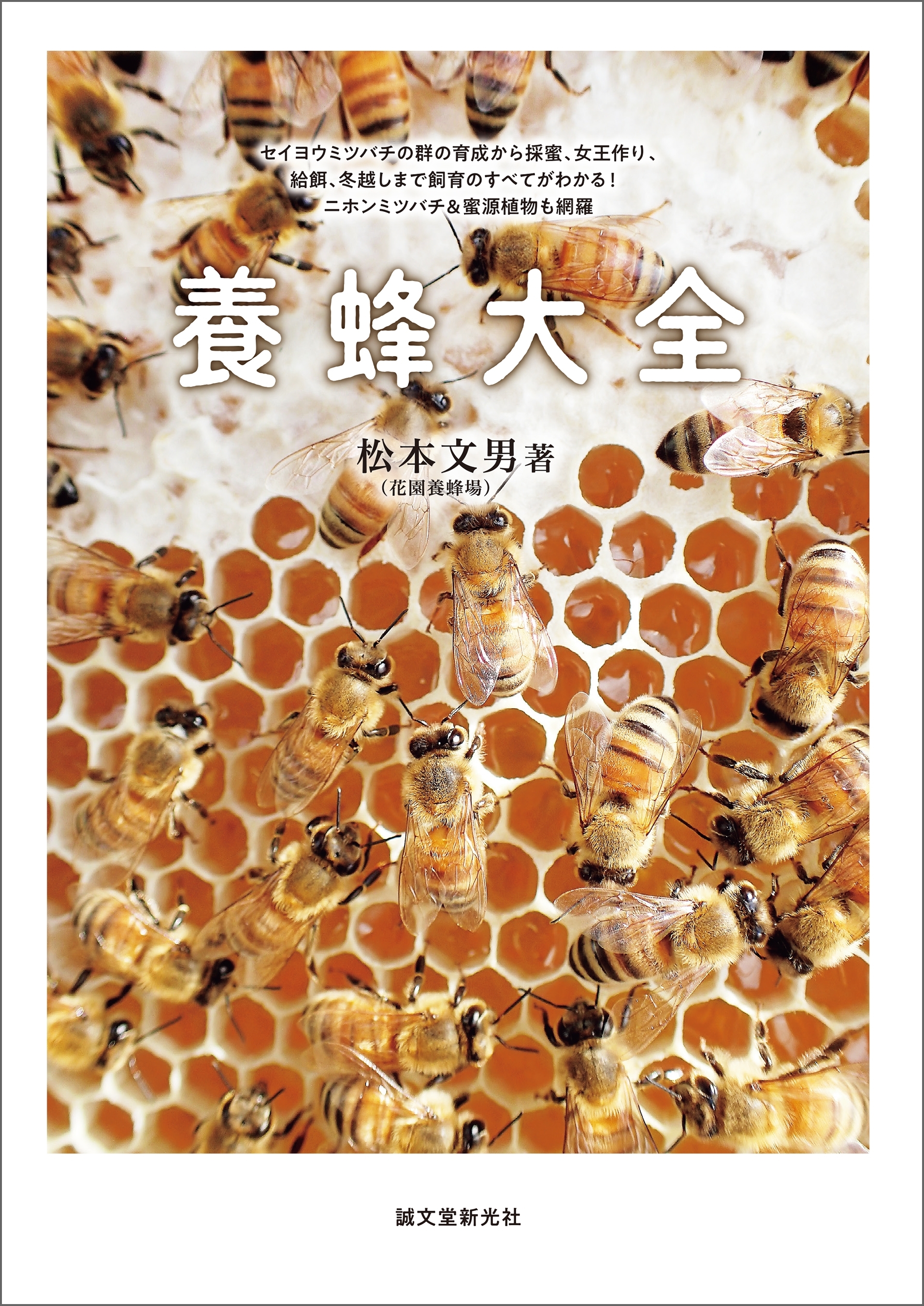 養蜂大全