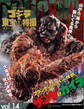 ゴジラ&東宝特撮 OFFICIAL MOOK vol.14 フランケンシュタインの怪獣 サンダ対ガイラ