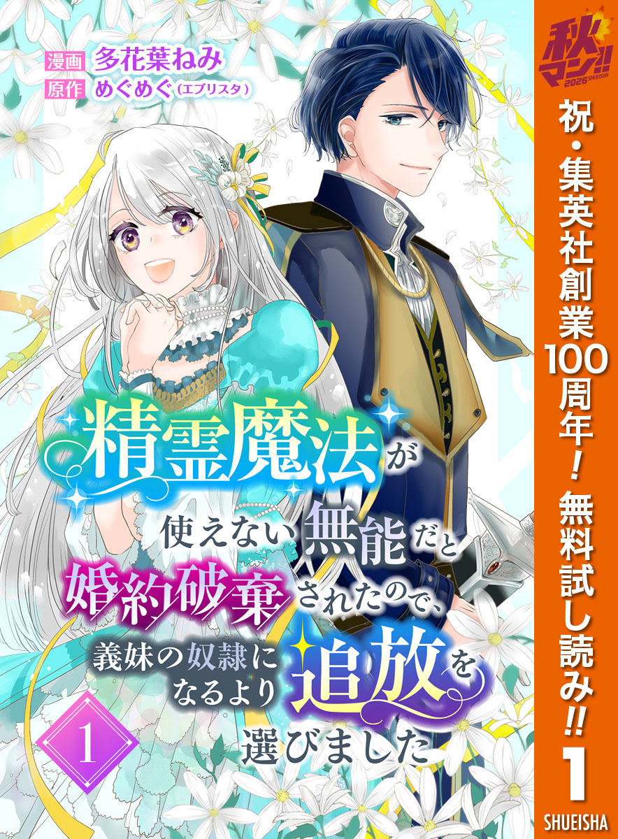 精霊魔法が使えない無能だと婚約破棄されたので、義妹の奴隷になるより追放を選びました【期間限定無料】 1