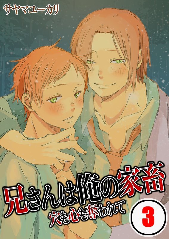 兄さんは俺の家畜～穴も心も奪われて【分冊版】