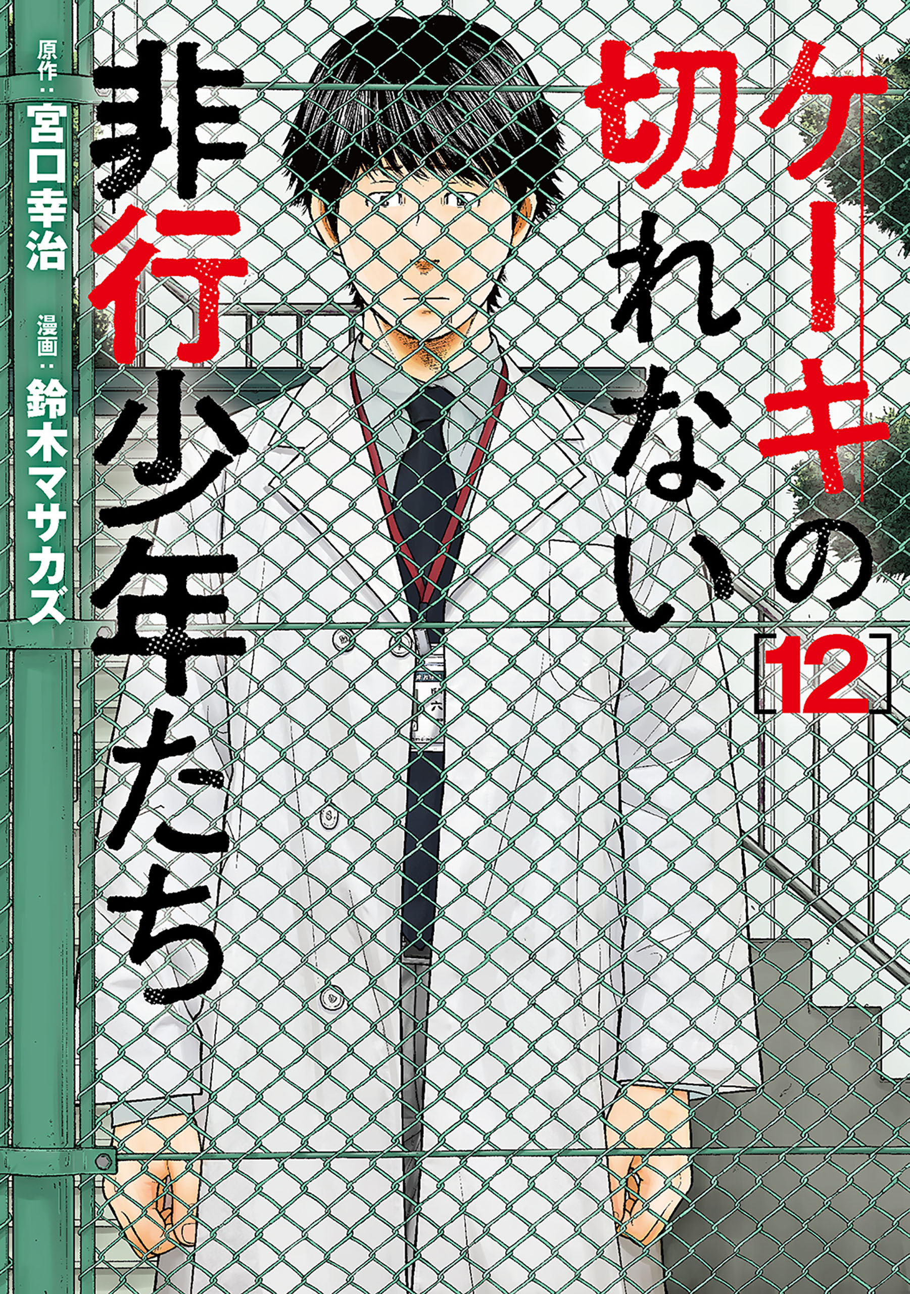 ケーキの切れない非行少年たち　12巻