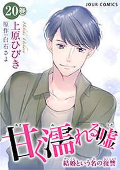 甘く濡れる嘘~結婚という名の復讐~ : 20