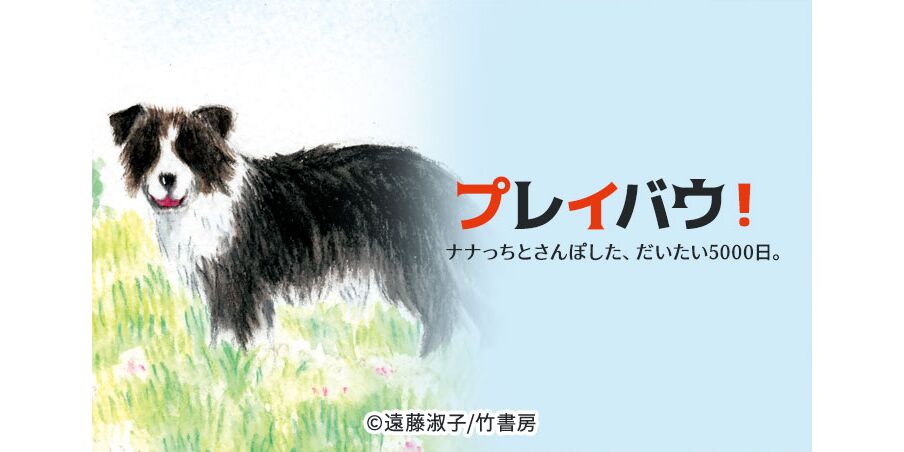 7話無料 プレイバウ ナナっちとさんぽした だいたい5000日 無料連載 Amebaマンガ 旧 読書のお時間です 7話無料 プレイバウ ナナっちとさんぽした だいたい5000日 無料連載 Amebaマンガ 旧 読書のお時間です