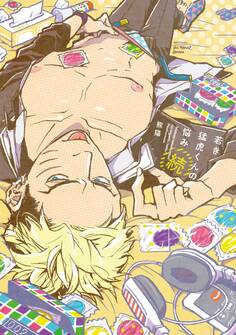 若き猛虎くんの悩み