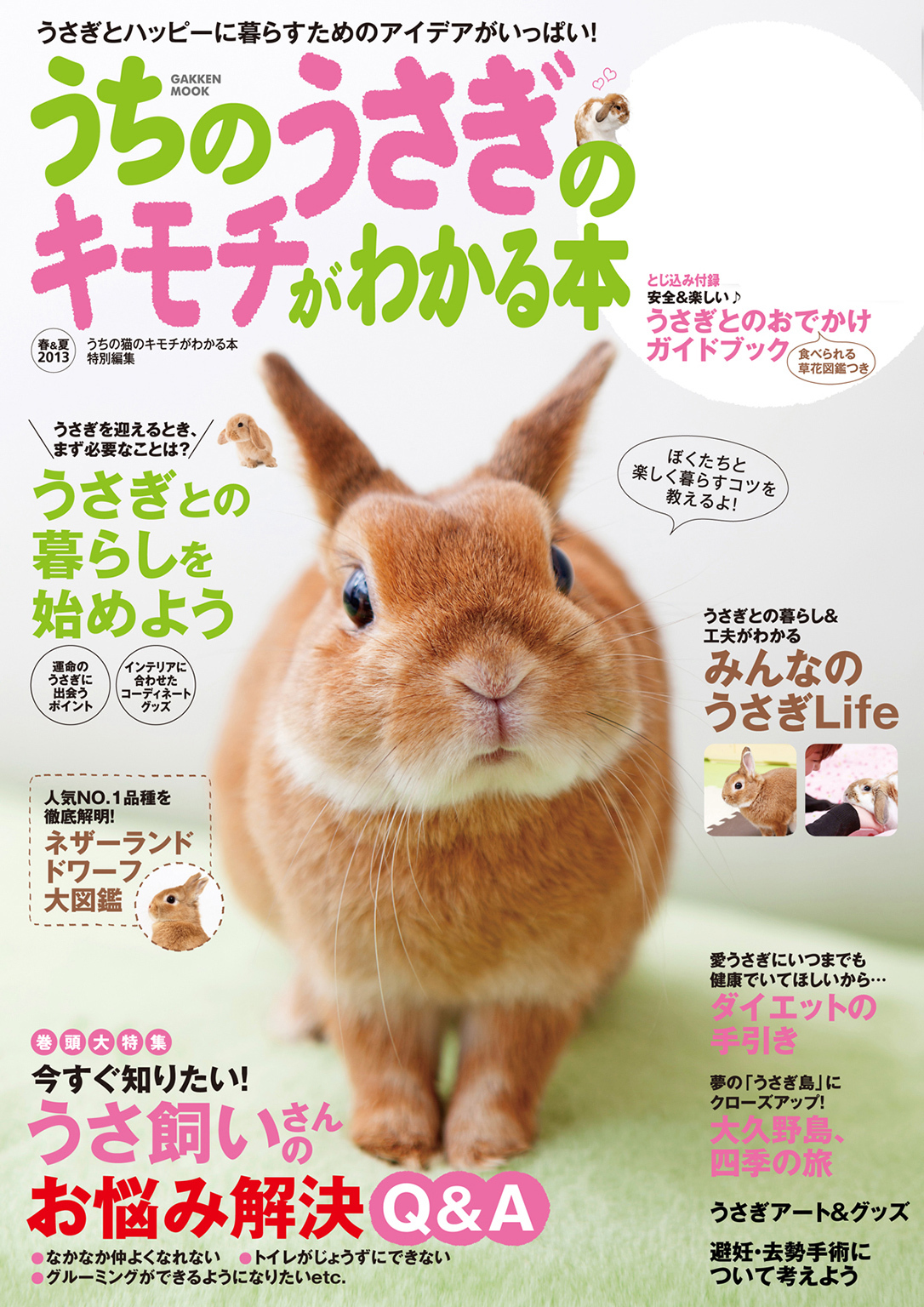 うちのうさぎのキモチがわかる本　春＆夏２０１３