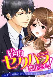 校内セクハラ禁止ですっ！～ドＳに挟まれこのままシちゃうの!?～