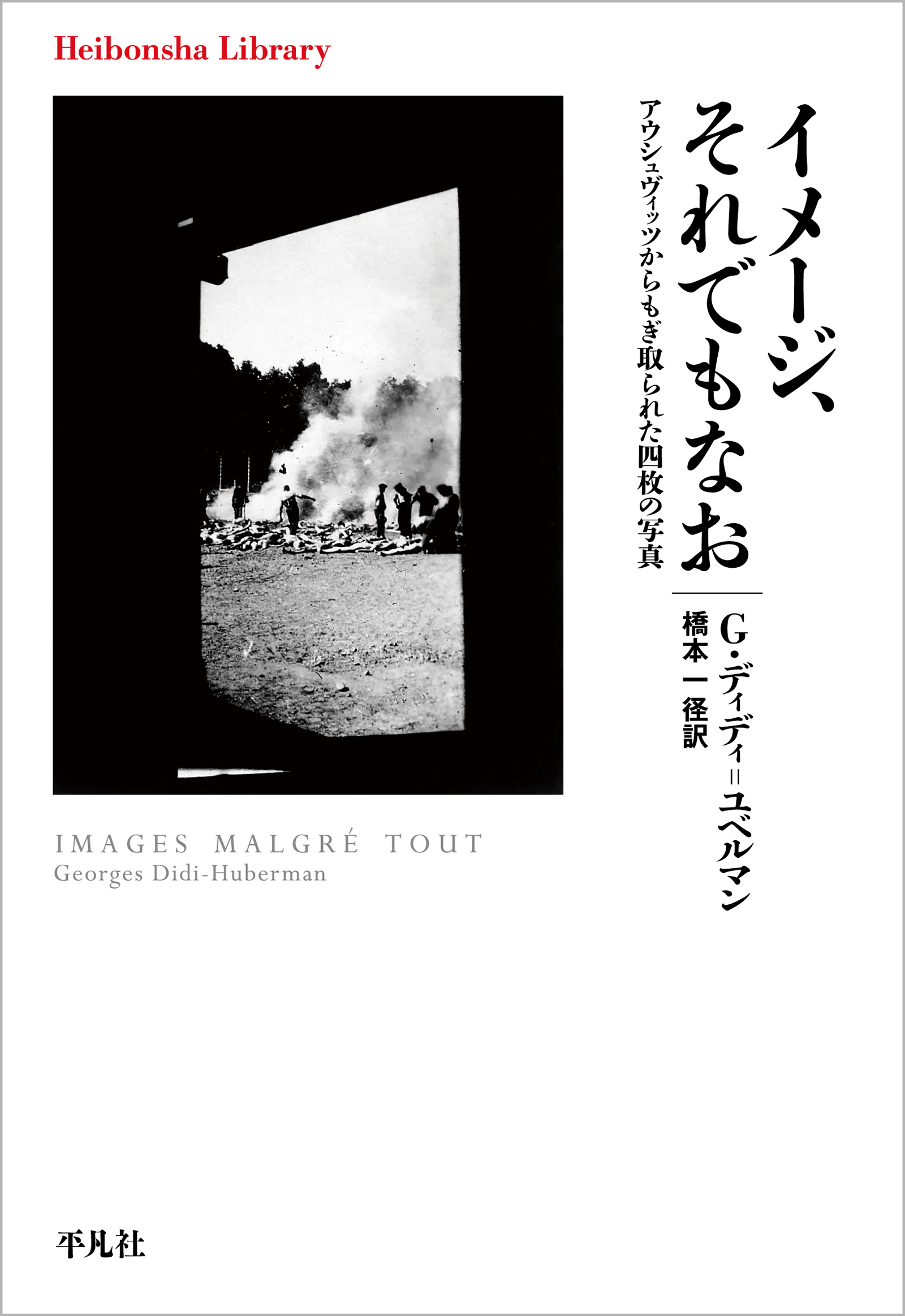 イメージ、それでもなお