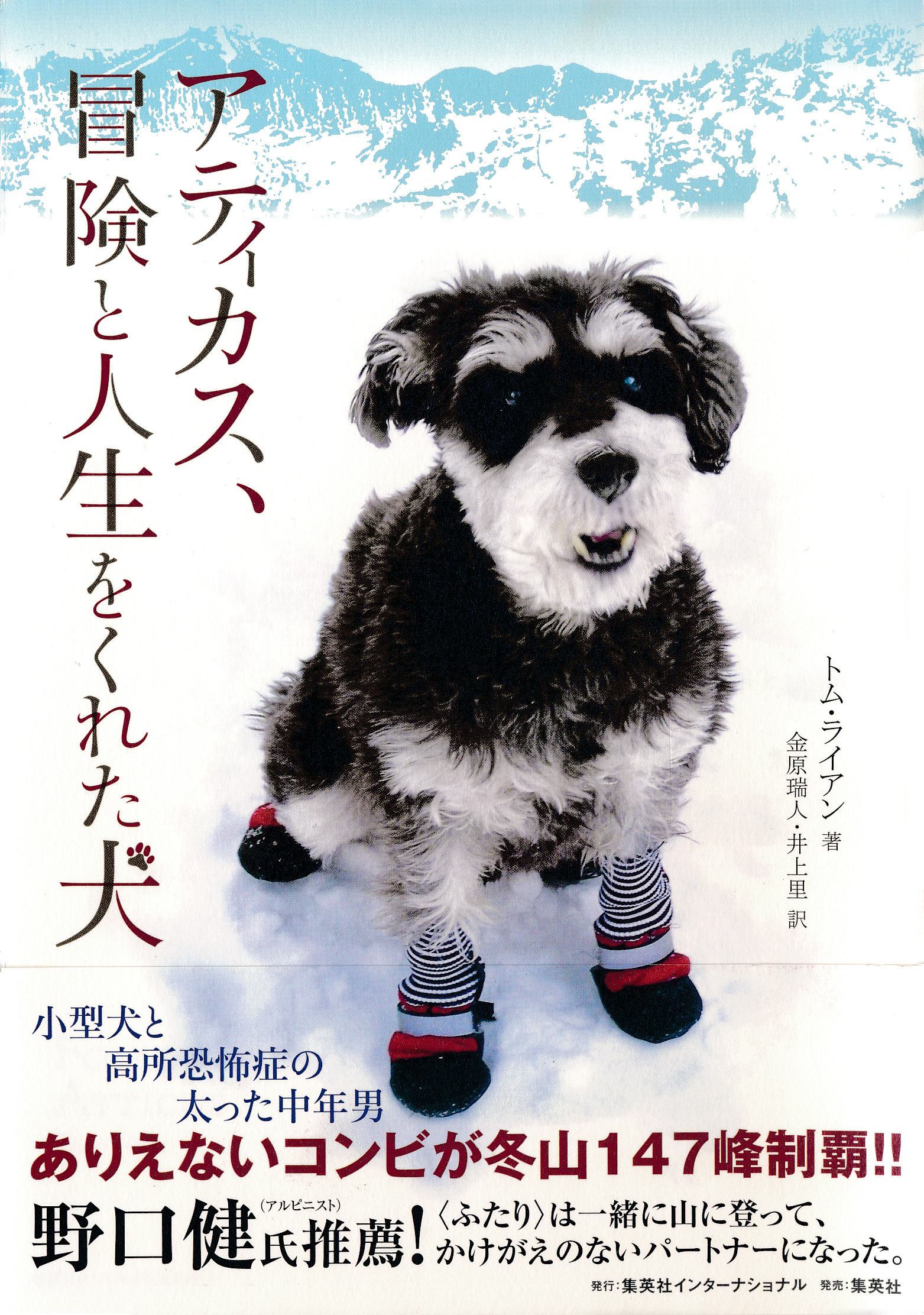 アティカス、冒険と人生をくれた犬