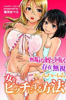 女をビッチにする方法~無垢な姪と同居 存在無視 ギャルハーレム~