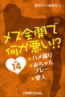 メス全開で何が悪い!? vol.14~ハメ撮り、赤ちゃんプレー、愛人~