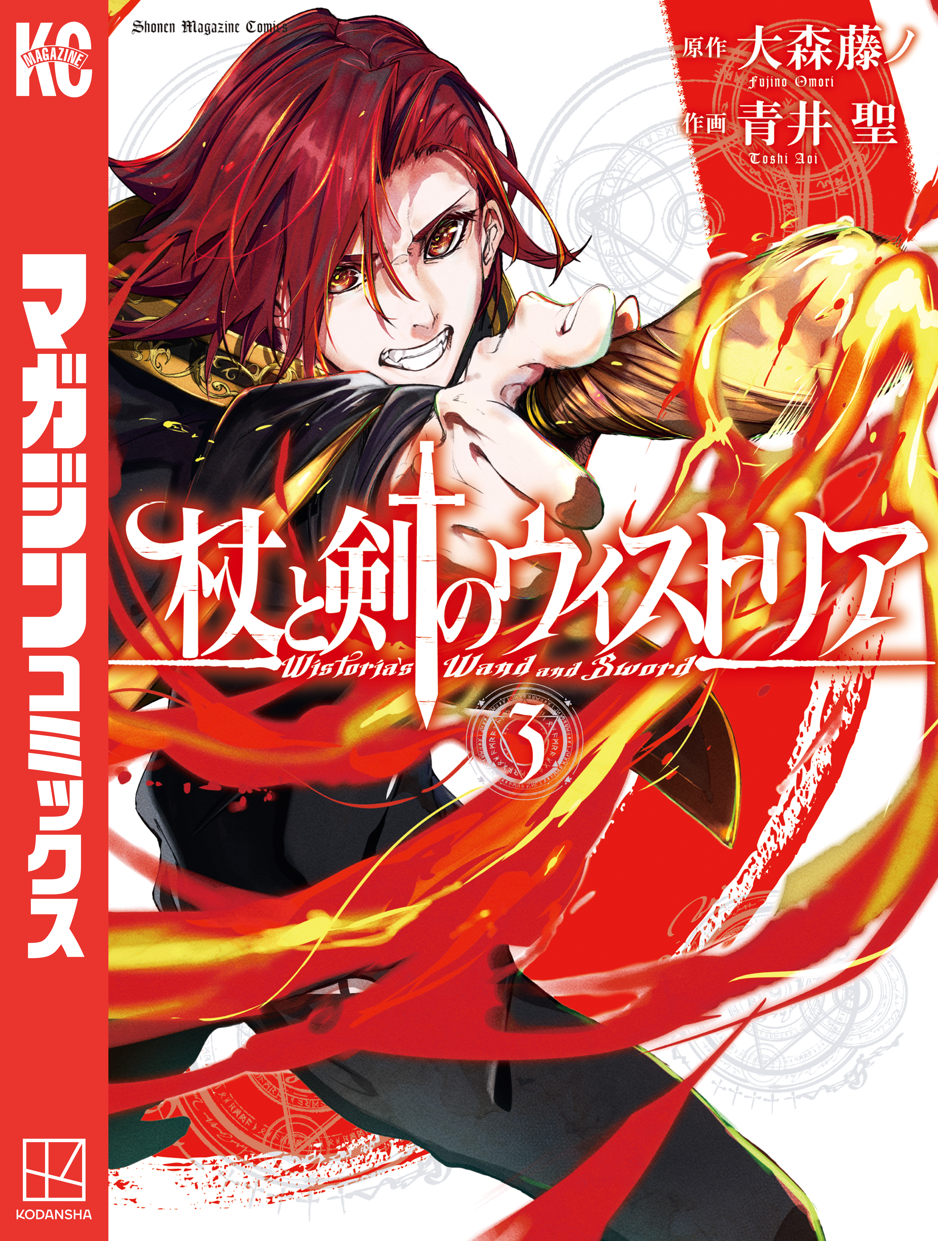 杖と剣のウィストリア（３）