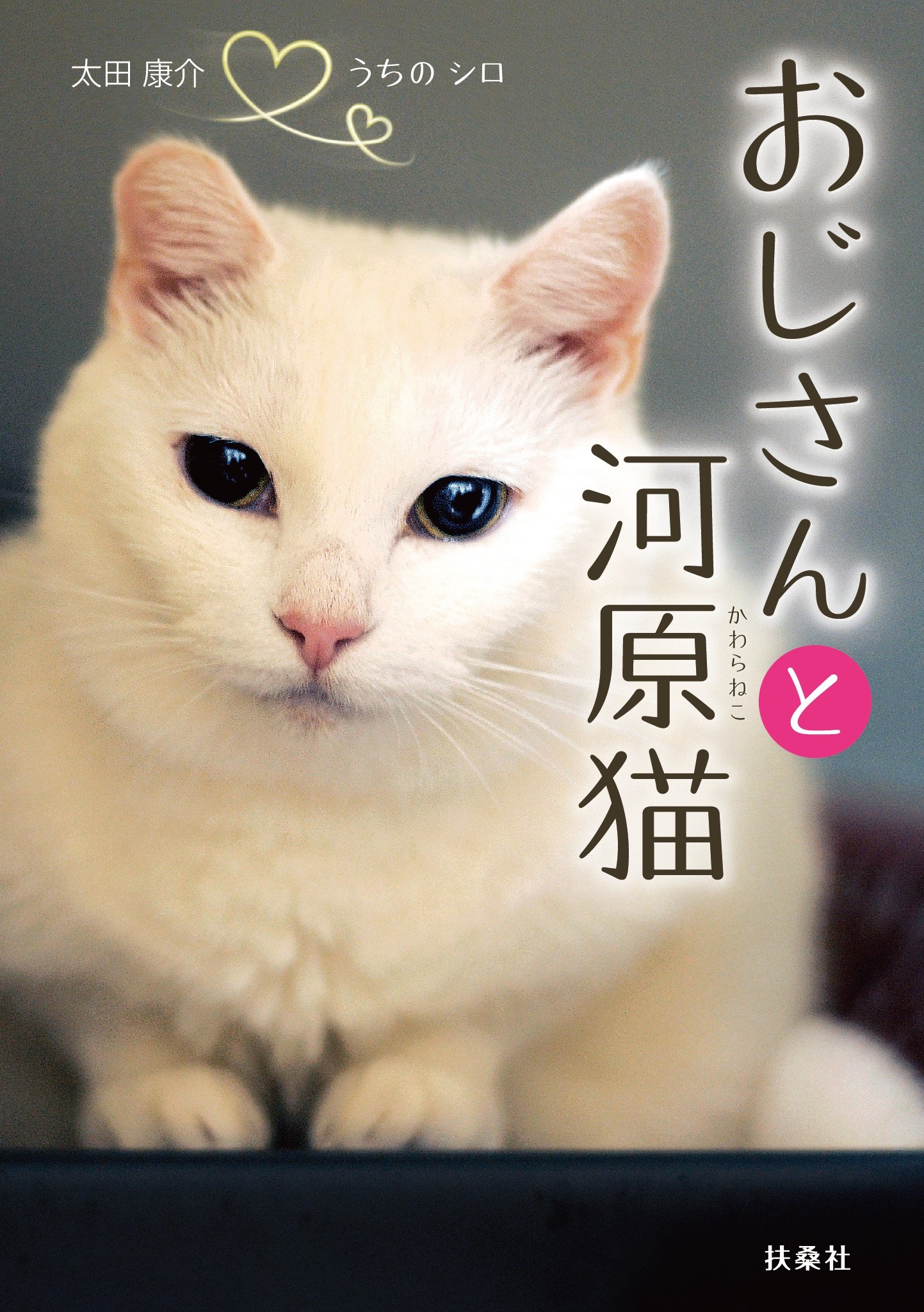 おじさんと河原猫
