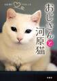 おじさんと河原猫