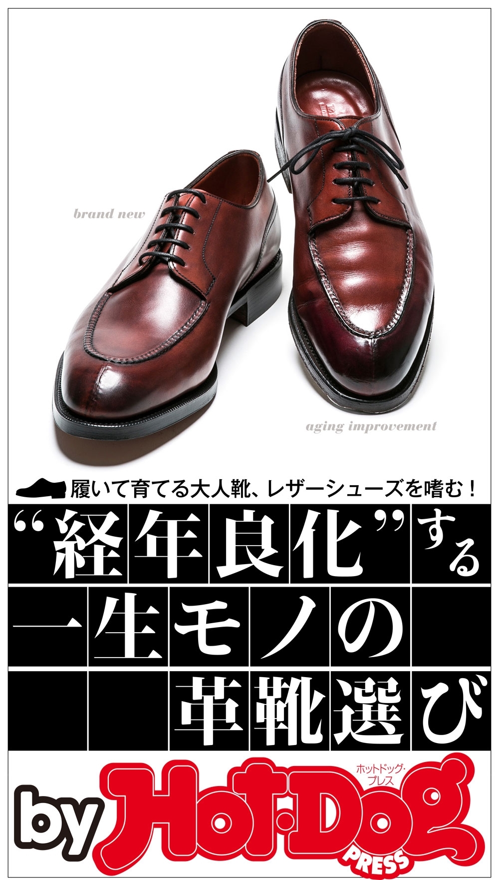 ｂｙ　Ｈｏｔ－Ｄｏｇ　ＰＲＥＳＳ　“経年良化”する一生モノの革靴選び　履いて育てる大人靴、レザーシューズを嗜む