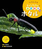 ホタル16 しゃしん絵本 小さな生きものの春夏秋冬