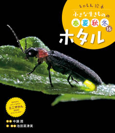 ホタル16 しゃしん絵本 小さな生きものの春夏秋冬