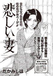 本当にあった主婦の黒い話vol.4～悲しい妻～
